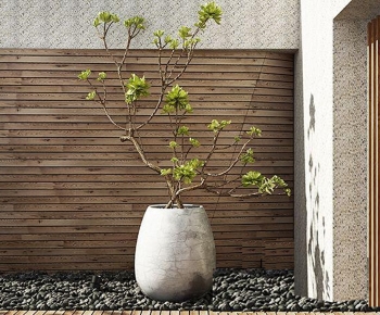 Modern Potted Green Plant-ID:175954109