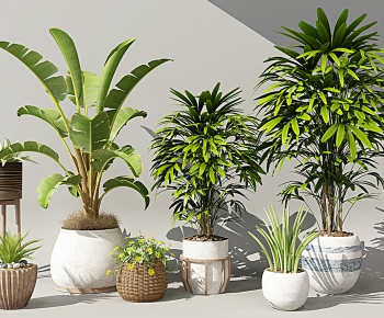 Modern Potted Green Plant-ID:843666083