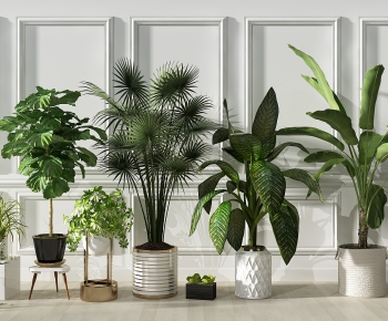 Modern Potted Green Plant-ID:416364914