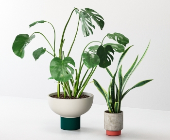 Modern Potted Green Plant-ID:371692906