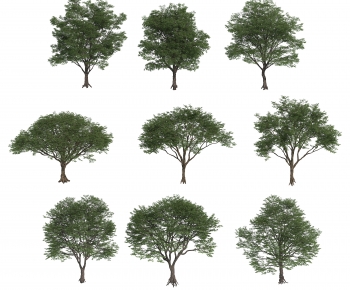 Modern Tree-ID:383980334