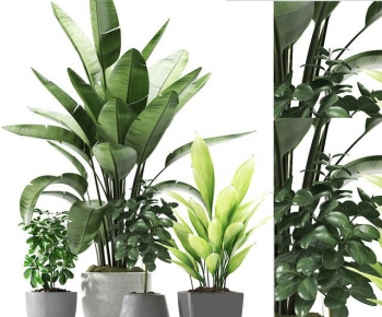 Modern Potted Green Plant-ID:806447033