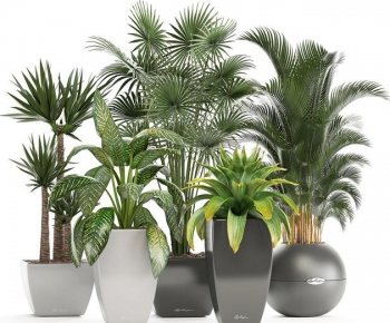 Modern Potted Green Plant-ID:402700924