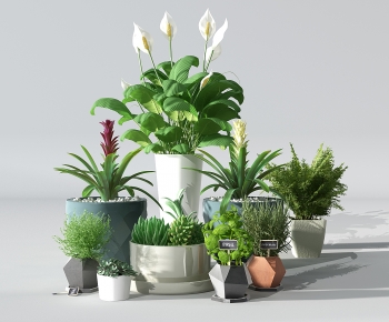 Modern Potted Green Plant-ID:724416972