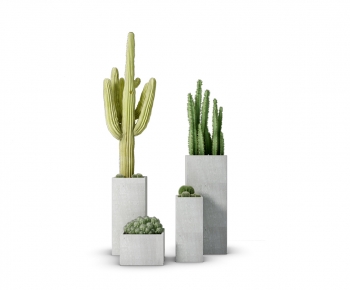 Modern Potted Green Plant-ID:986984014