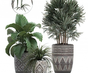 Modern Potted Green Plant-ID:317662958
