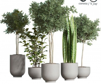 Modern Potted Green Plant-ID:772916085