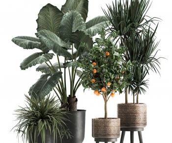 Modern Potted Green Plant-ID:790184022