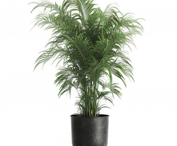 Modern Potted Green Plant-ID:321275004