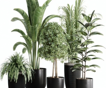 Modern Potted Green Plant-ID:775954965
