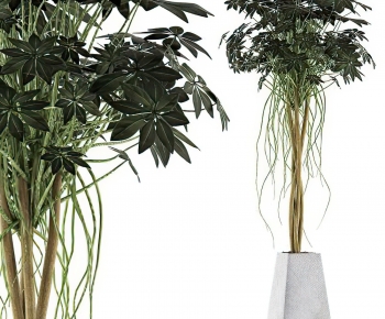 Modern Potted Green Plant-ID:431083924