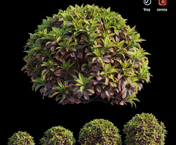 Modern Shrubbery-ID:629762899