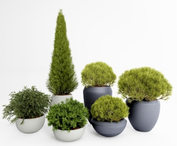 Modern Potted Green Plant-ID:719515092