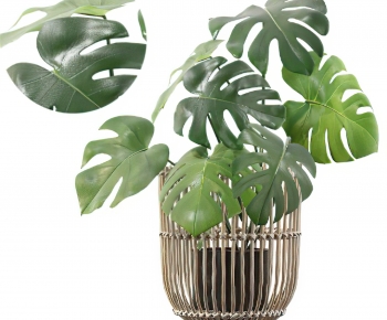 Modern Potted Green Plant-ID:724937928