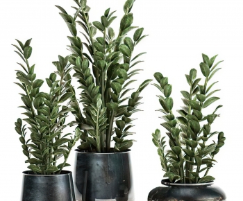Modern Potted Green Plant-ID:411129954