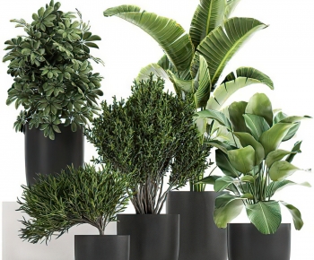 Modern Potted Green Plant-ID:391217955