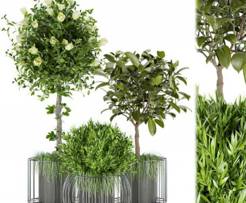 Modern Potted Green Plant-ID:123310098