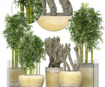 Modern Potted Green Plant-ID:925691168