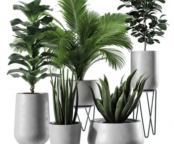 Modern Potted Green Plant-ID:748763086