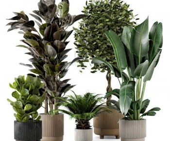 Modern Potted Green Plant-ID:605432034