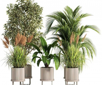 Modern Potted Green Plant-ID:393546106