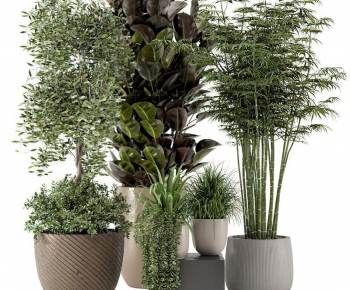 Modern Potted Green Plant-ID:463330983