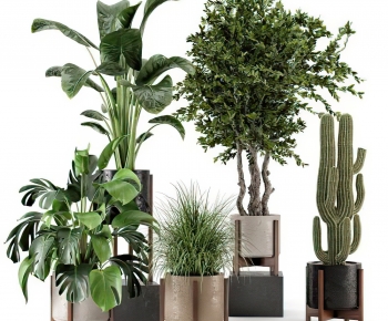 Modern Potted Green Plant-ID:550478946