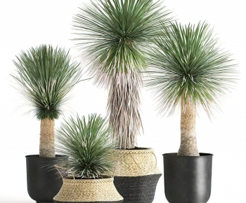 Modern Potted Green Plant-ID:713426119