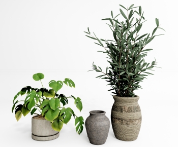 Wabi-sabi Style Potted Green Plant-ID:907176022