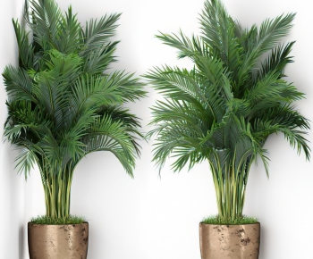 Modern Potted Green Plant-ID:129390005