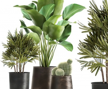 Modern Potted Green Plant-ID:640999089