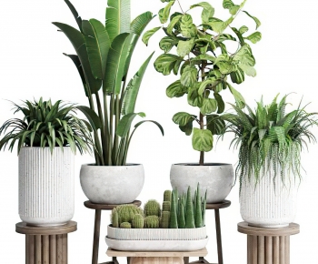Modern Potted Green Plant-ID:951368095
