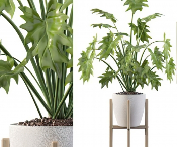 Modern Potted Green Plant-ID:120224006