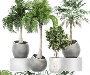 Modern Potted Green Plant-ID:787126062