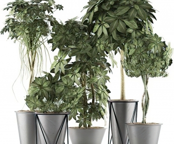 Modern Potted Green Plant-ID:748078855