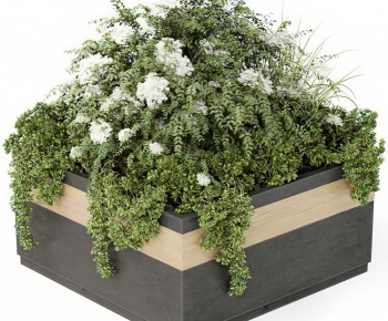 Modern Shrubbery-ID:719850149