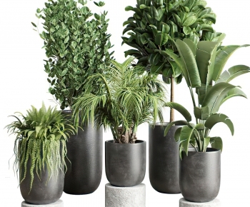 Modern Potted Green Plant-ID:946587097
