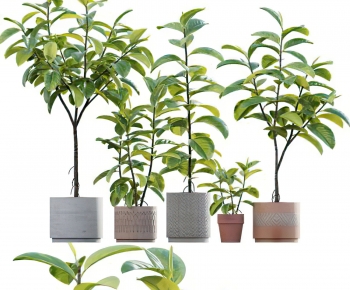 Modern Potted Green Plant-ID:959063052