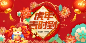 中国风国潮虎年海报-ID:210299021