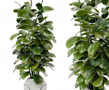 Modern Potted Green Plant-ID:587800988