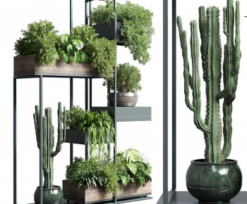 Modern Potted Green Plant-ID:551021105
