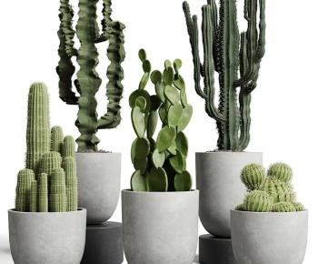 Modern Potted Green Plant-ID:209091902