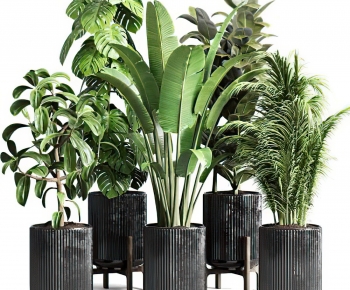 Modern Potted Green Plant-ID:920994045