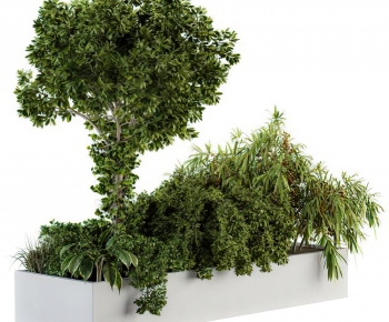 Modern Shrubbery-ID:370196101