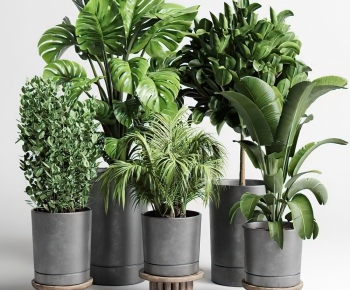 Modern Potted Green Plant-ID:693232067