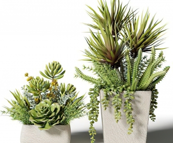 Modern Potted Green Plant-ID:593841182