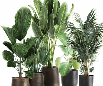 Modern Potted Green Plant-ID:730860953