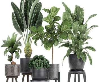 Modern Potted Green Plant-ID:363059047