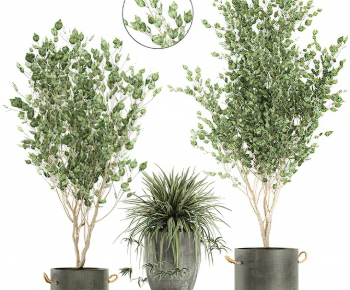 Modern Potted Green Plant-ID:679722071