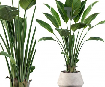 Modern Potted Green Plant-ID:235754979